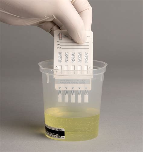 bottles to put pee in to pass a drug test|how to freeze urine for drug testing.